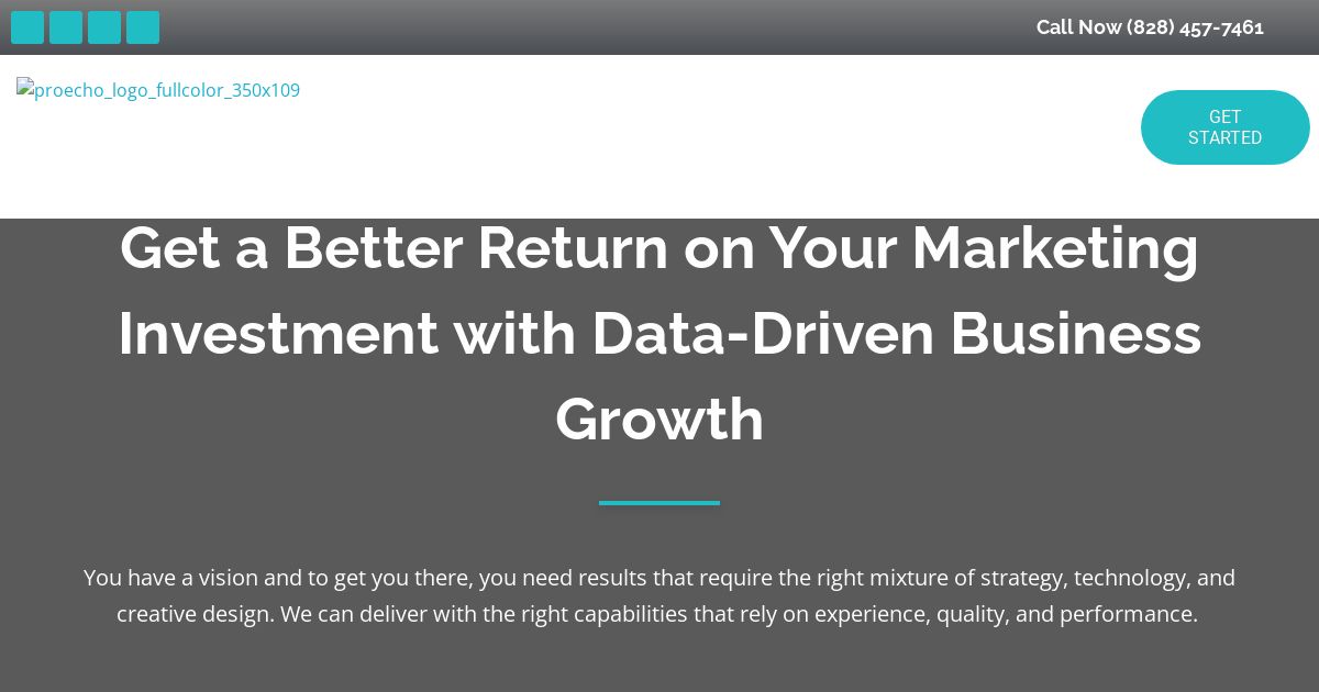 Screenshot of https://proechosolutions.com/