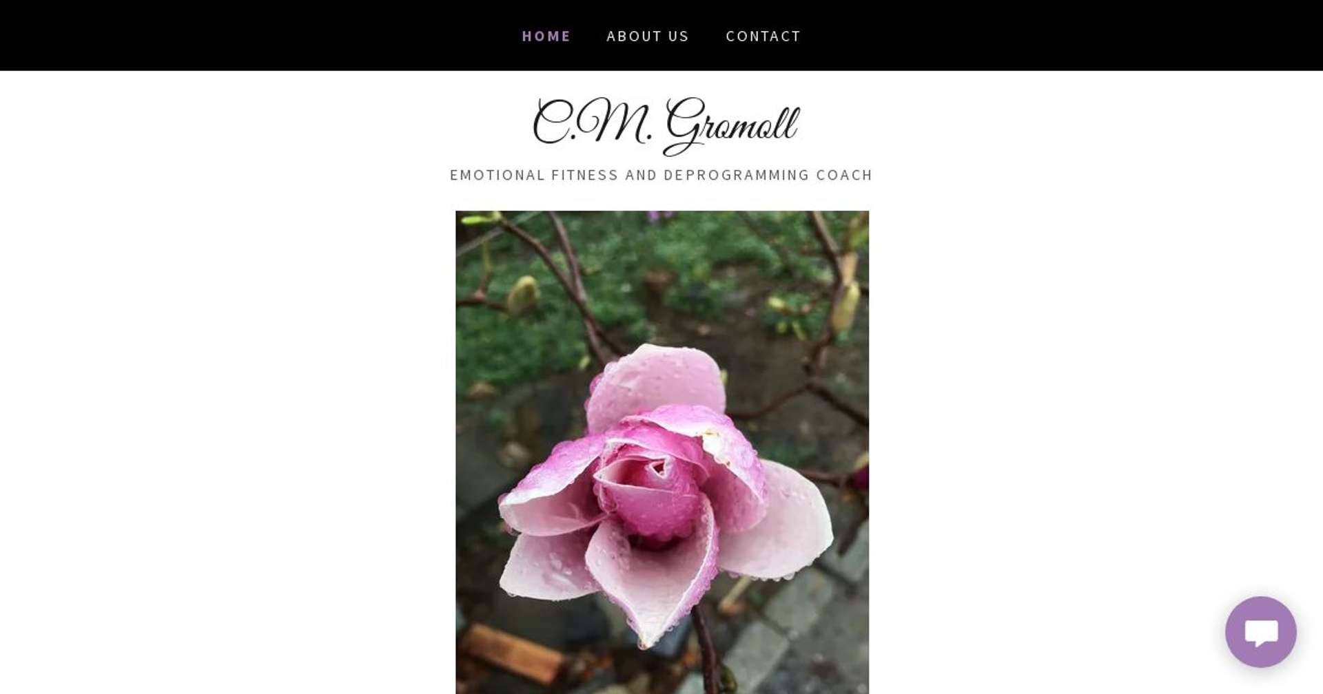Screenshot of https://cmgromoll.com/